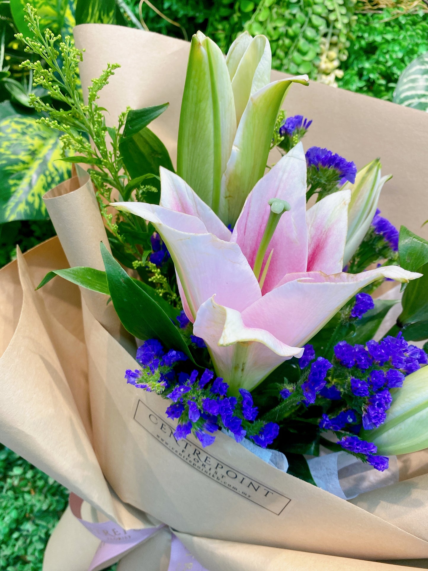 Miss Lily (RM 60.00)