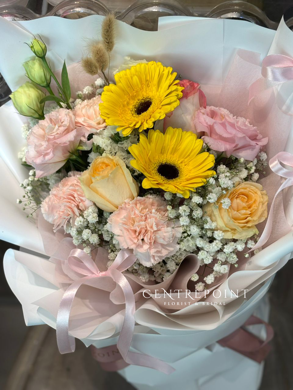 Pastel Dairy (RM 120.00)