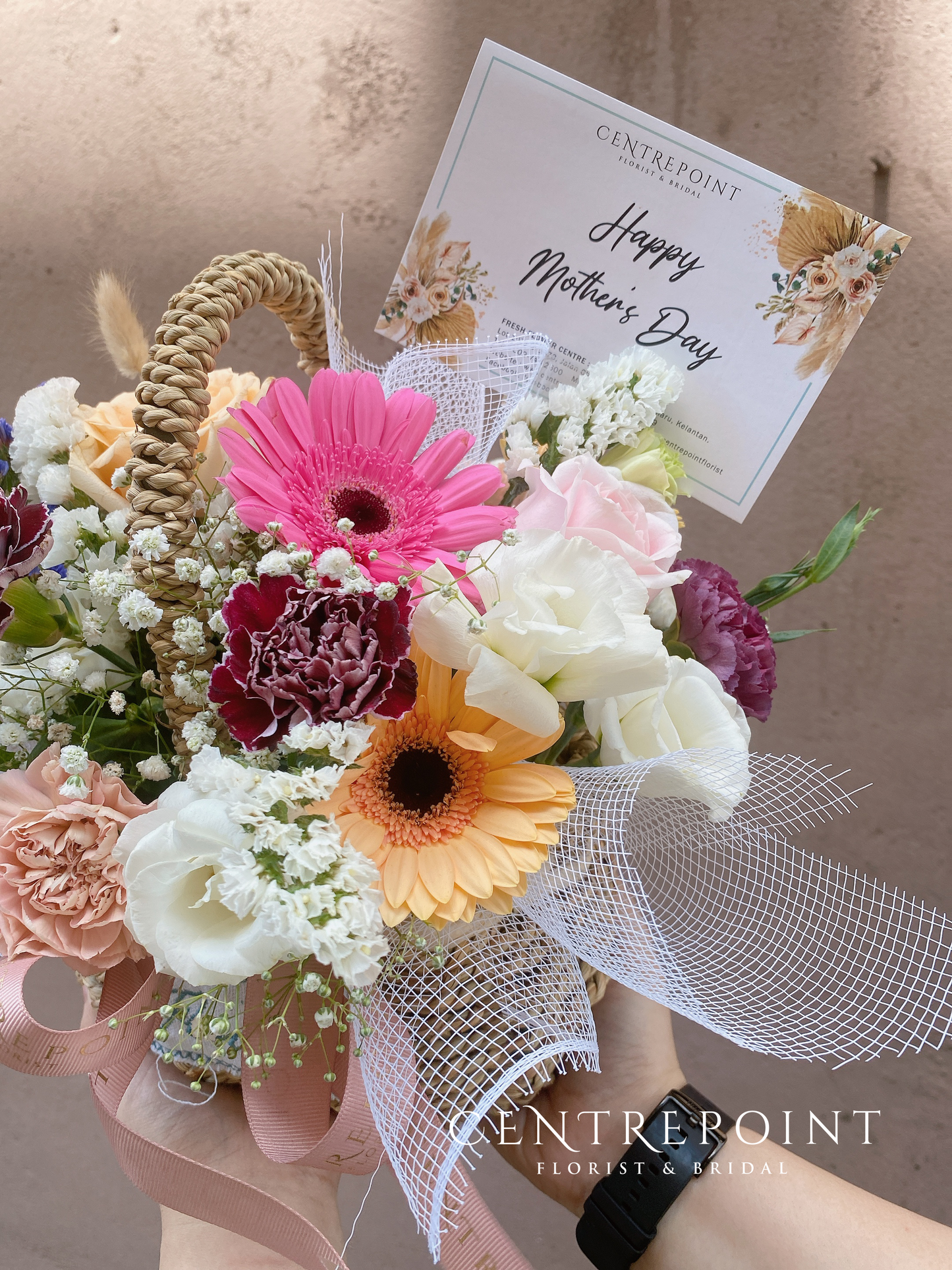 Pluto B. (RM 150.00)