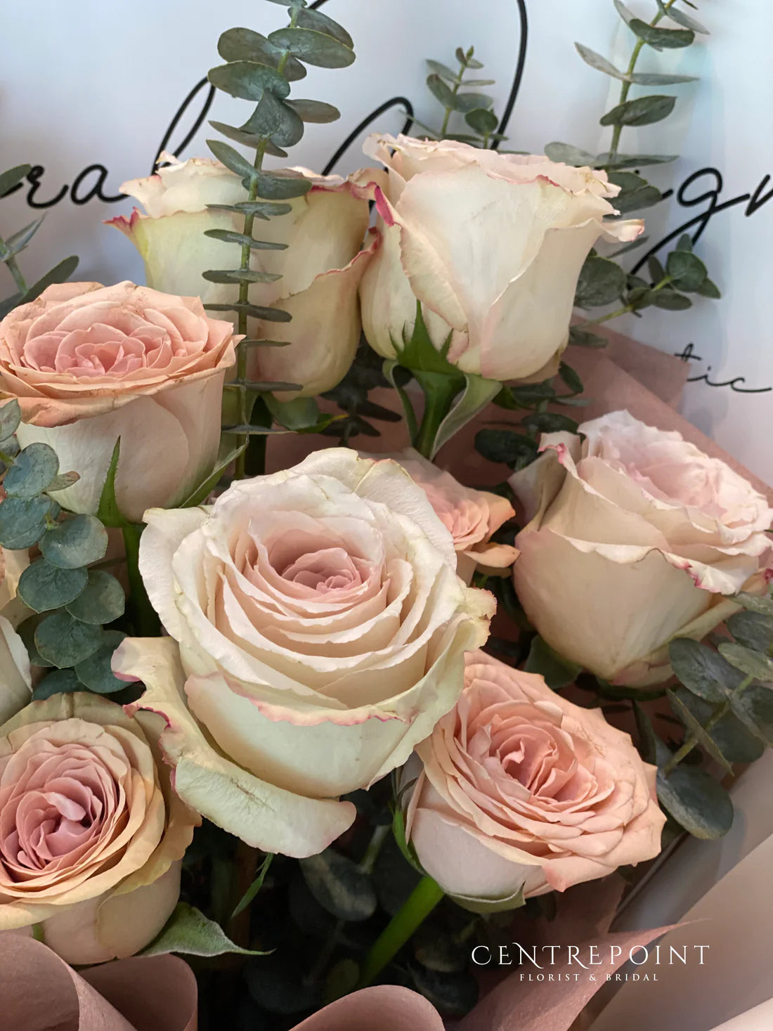 QuickSand (RM 180.00)