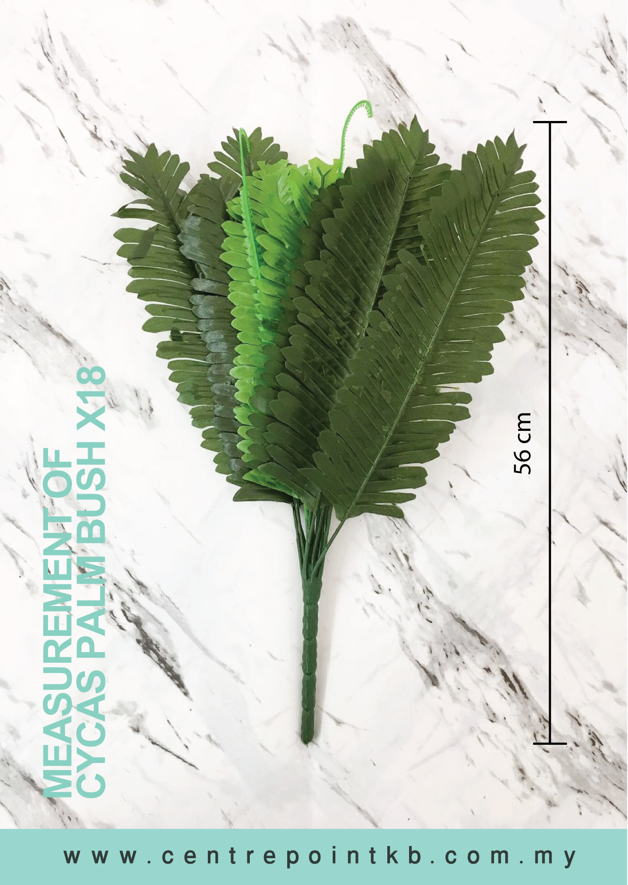 Cycas Palm Bush x18 (Pieces/Dozen)