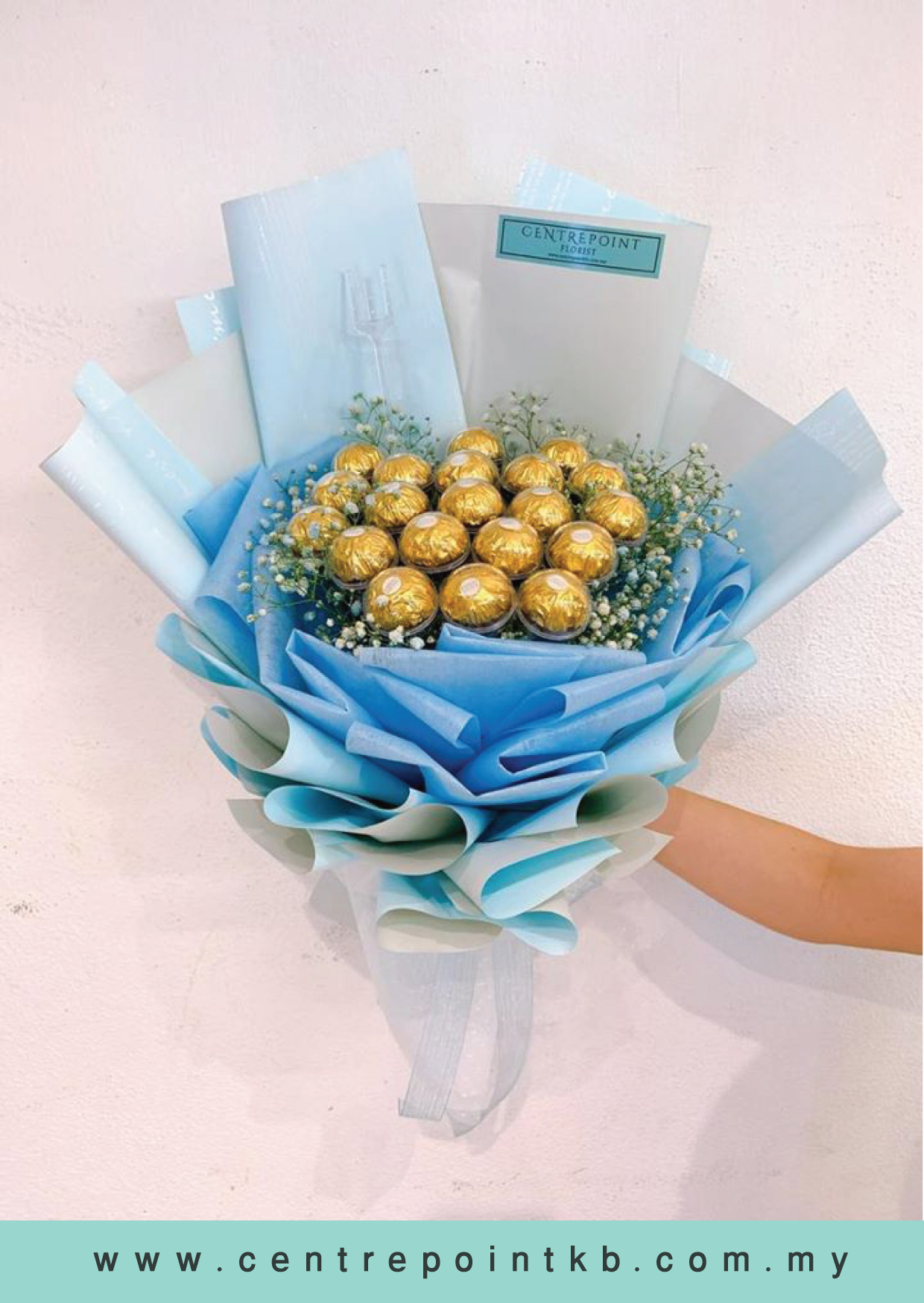 Disneyland (RM 220.00)