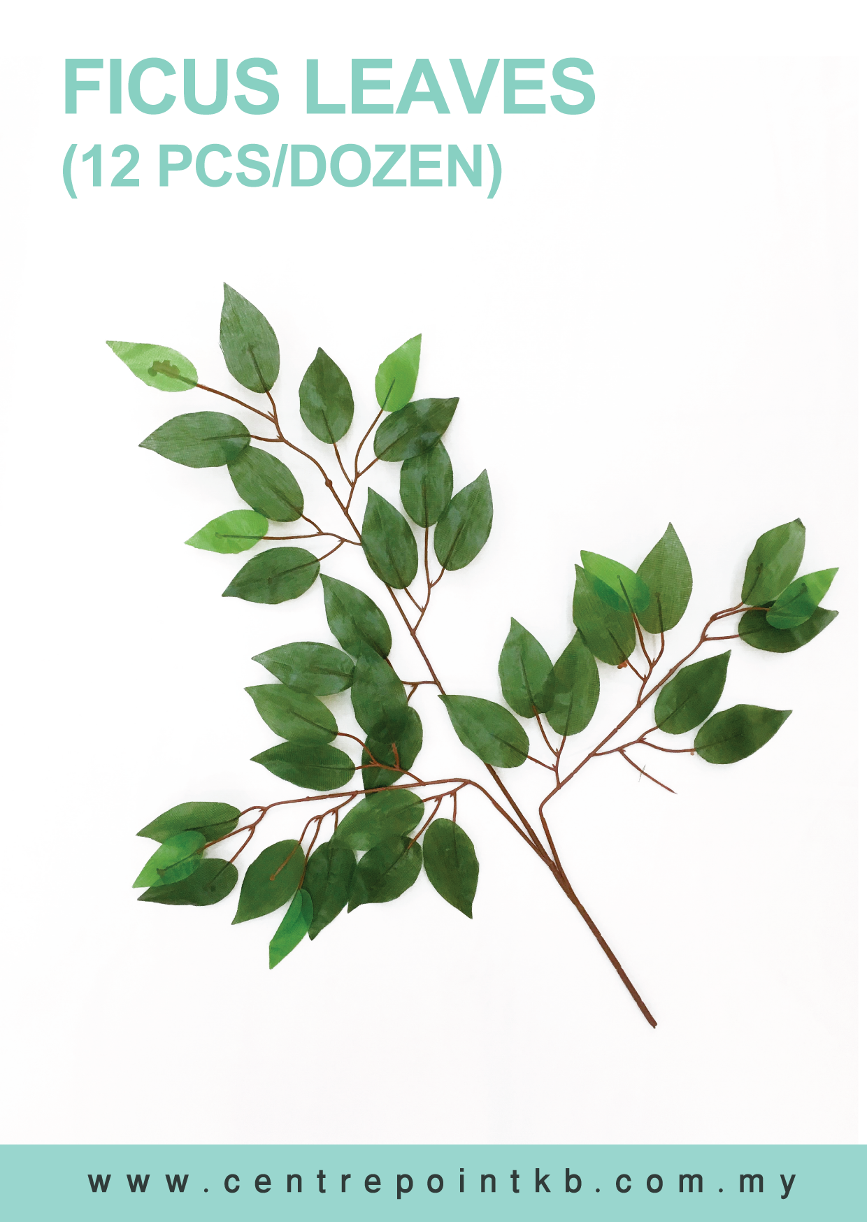 Ficus Leaves (12pcs/Dozen)