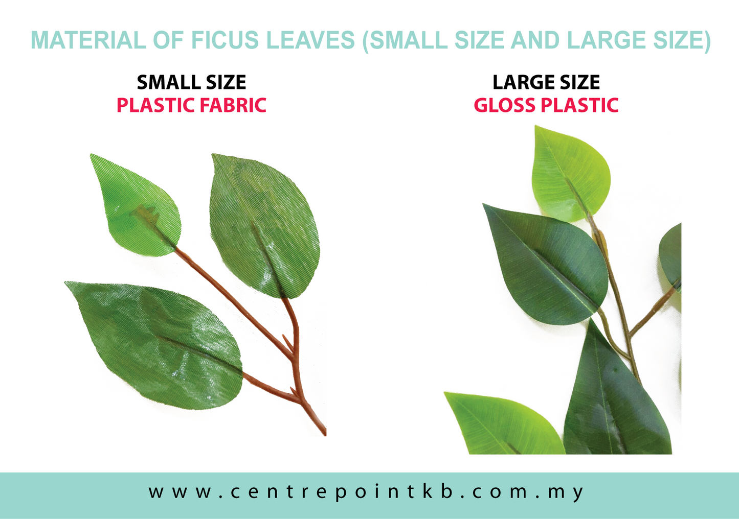 Ficus Leaves (12pcs/Dozen)