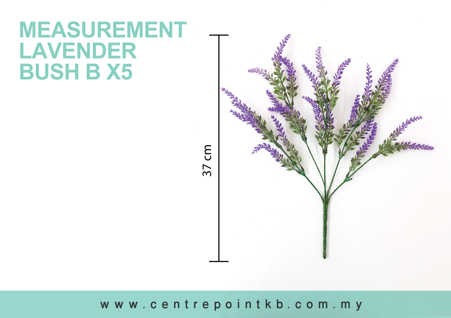 Lavender Bush B X5 (Pieces/Dozen)