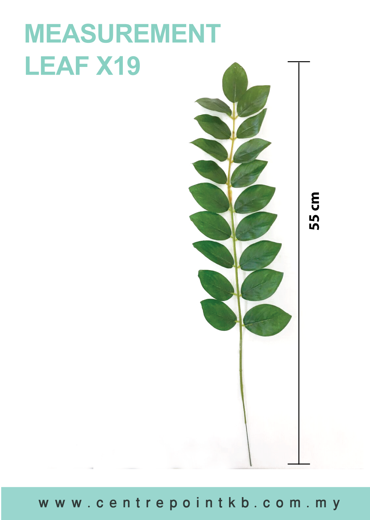 Leaf x19 (Pieces/Dozen)