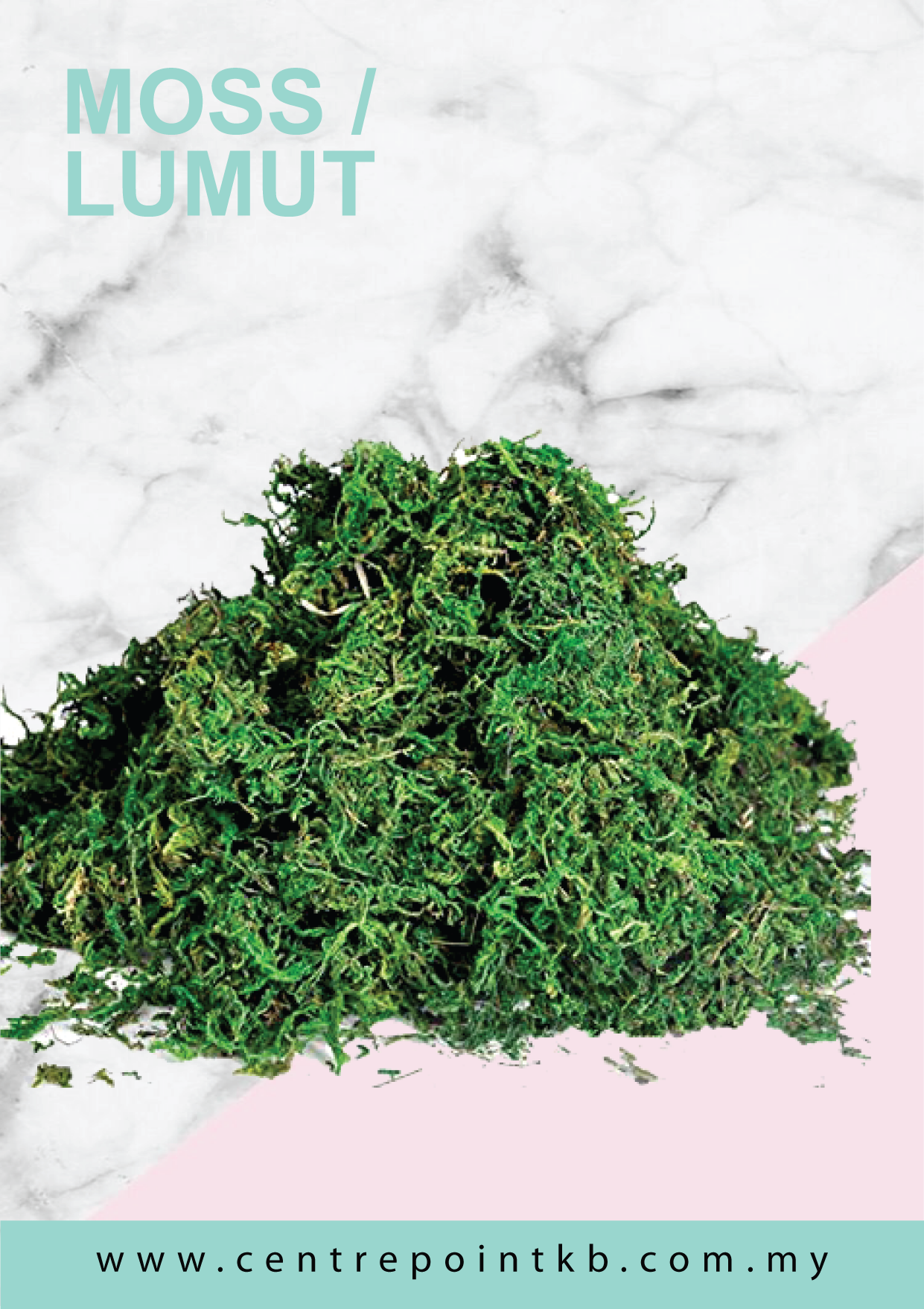 Moss / Lumut (Pack)