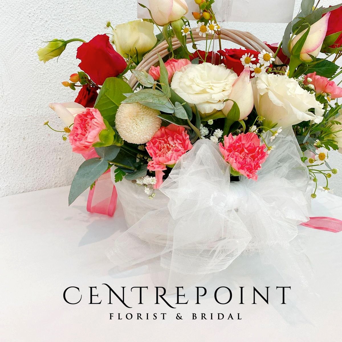 Princess Audrey (RM 250.00)