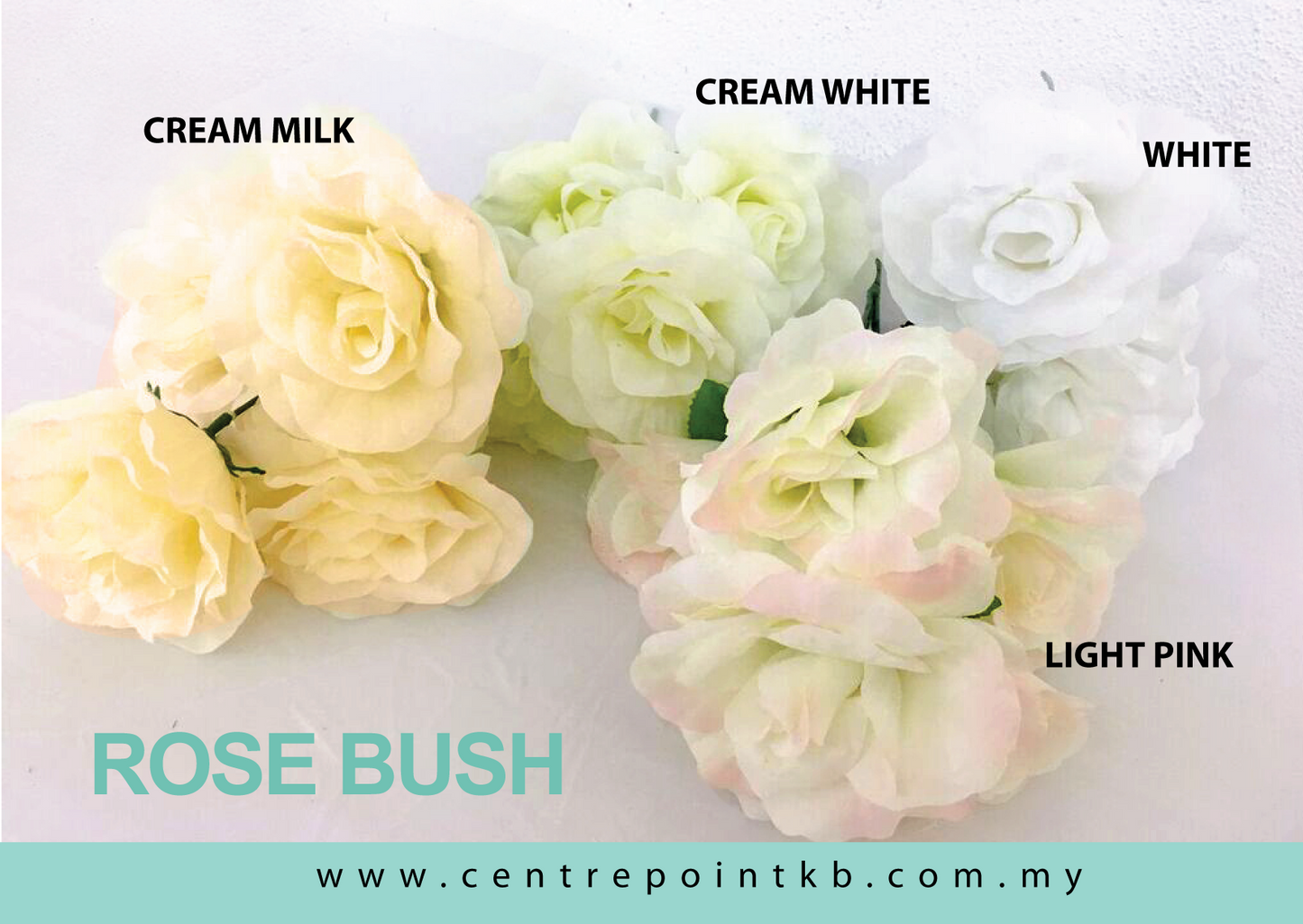 Rose Bush X5 (12pcs/Dozen)