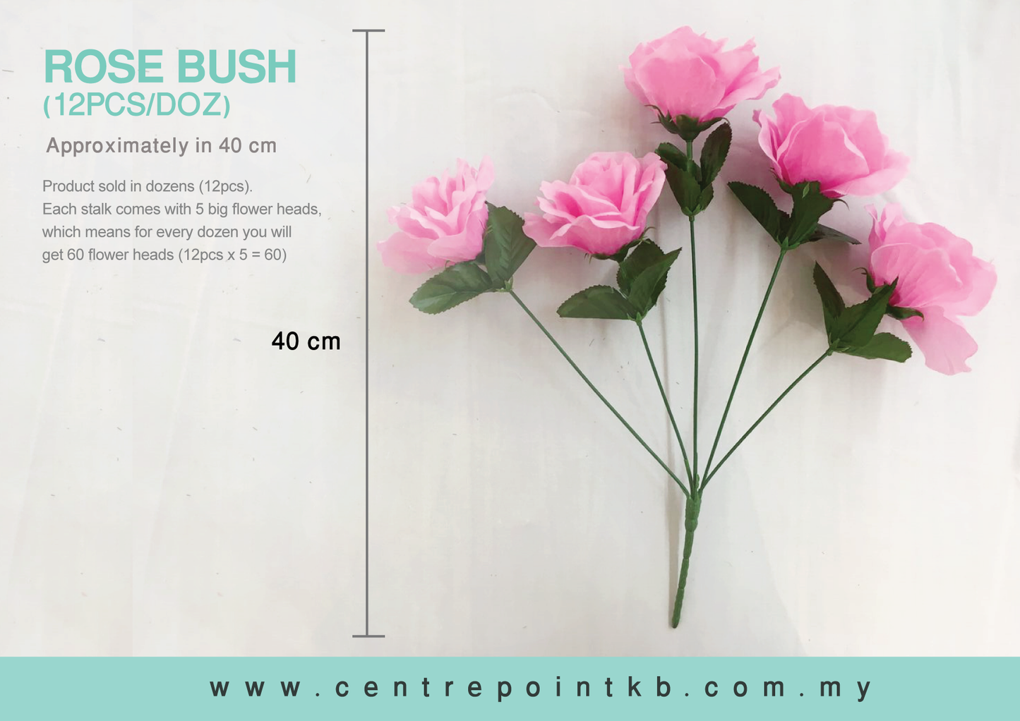 Rose Bush X5 (12pcs/Dozen)