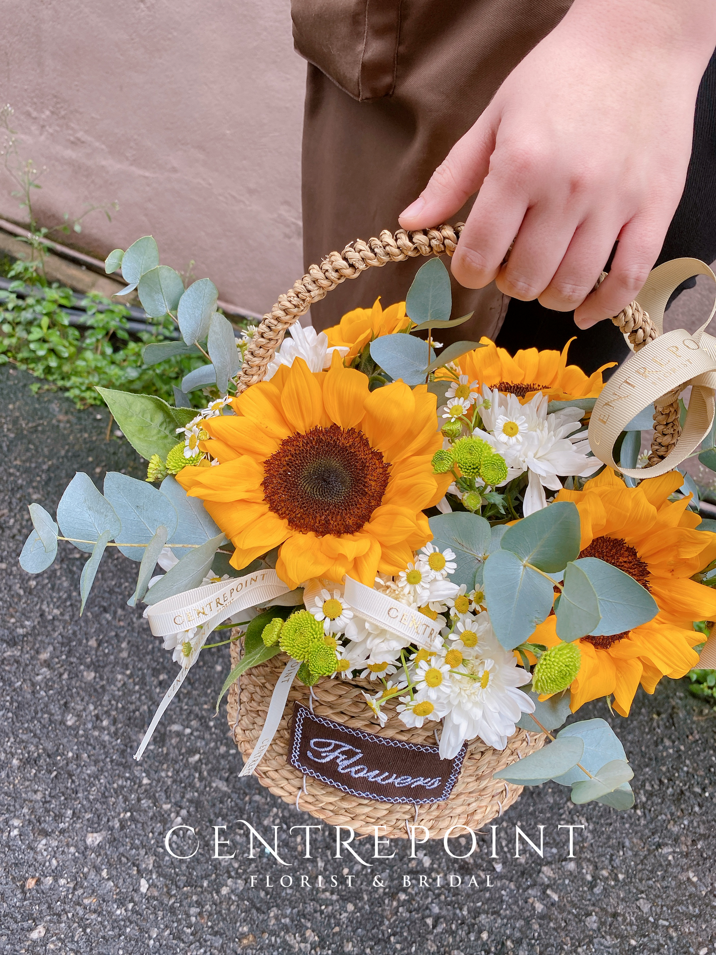 Sunfresh (RM 120.00)