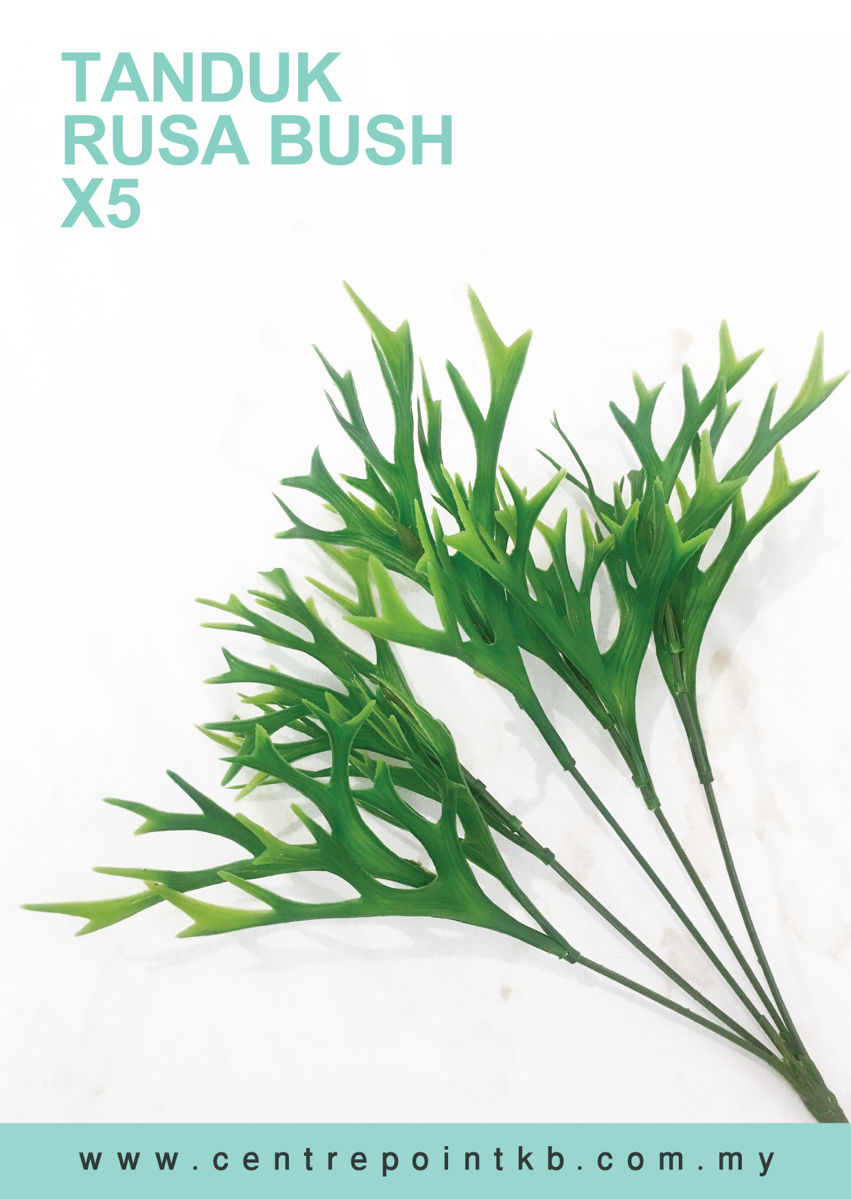 Tanduk Rusa Bush X5 (Pieces/Dozen)