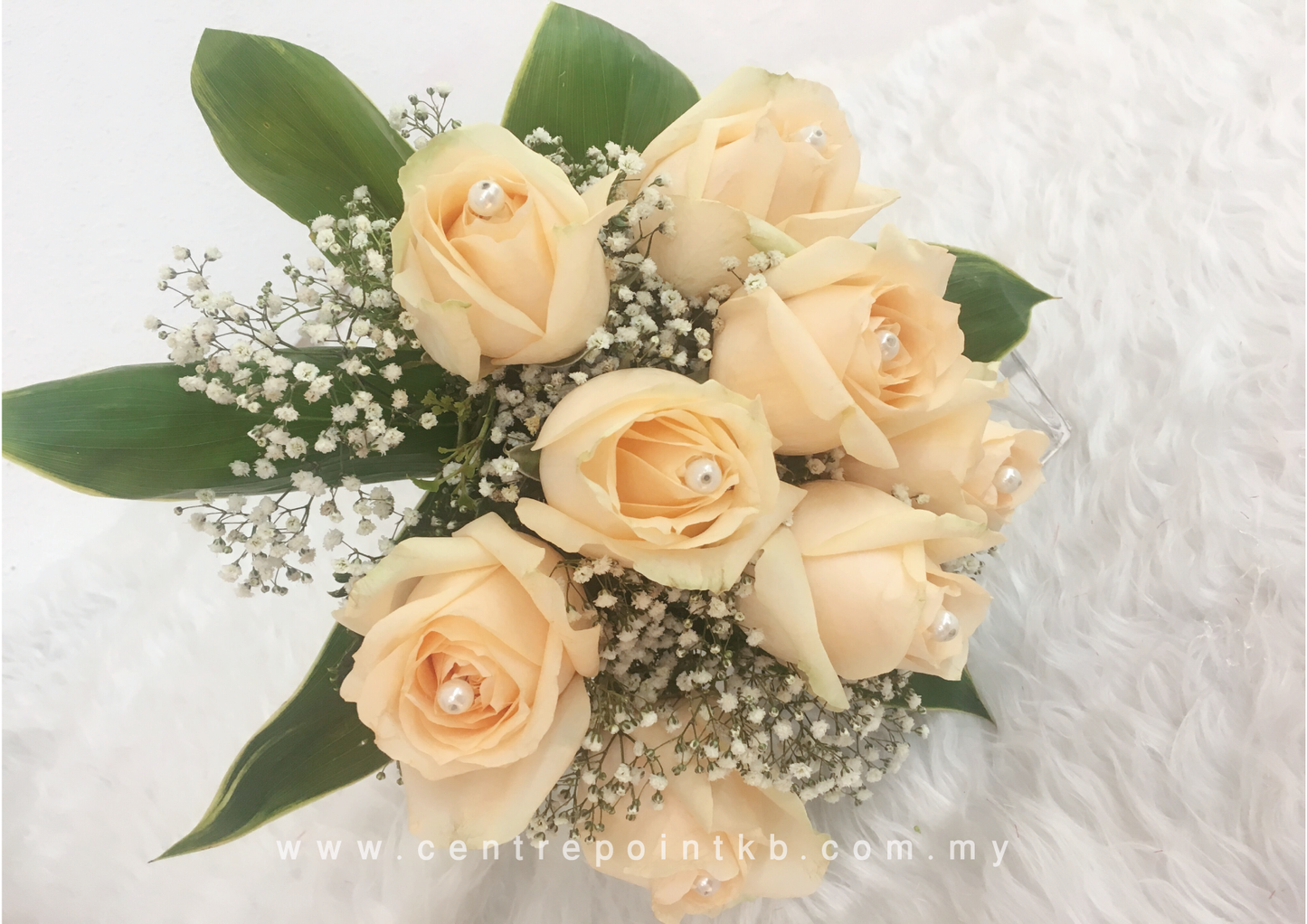 Morning Star (RM 105.00)