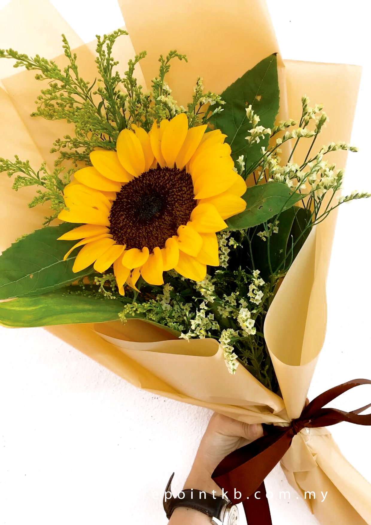 A Thousand Sun (RM 20.00)