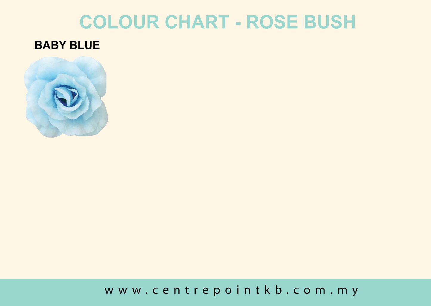 Rose Bush X5 (12pcs/Dozen)