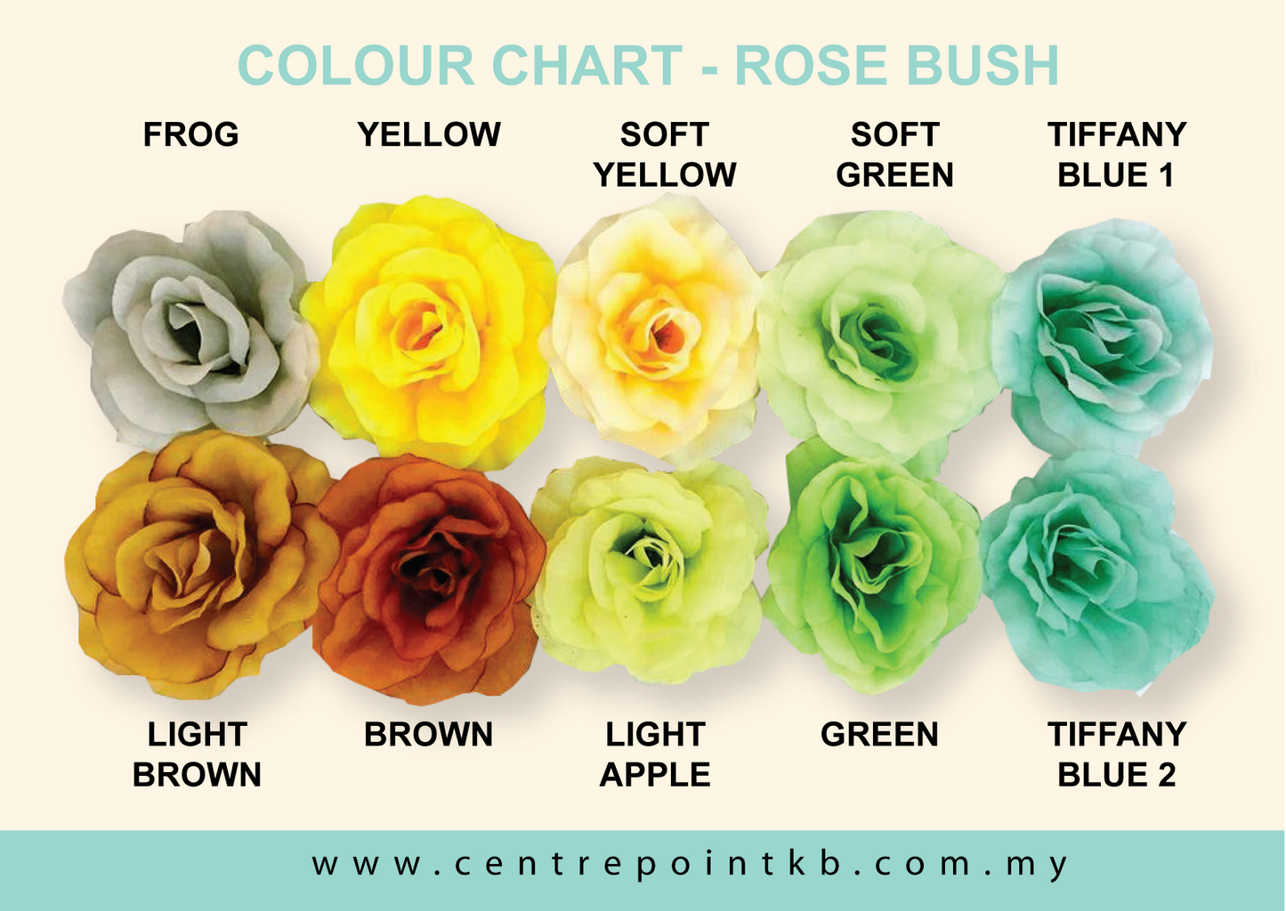 Rose Bush X5 (12pcs/Dozen)
