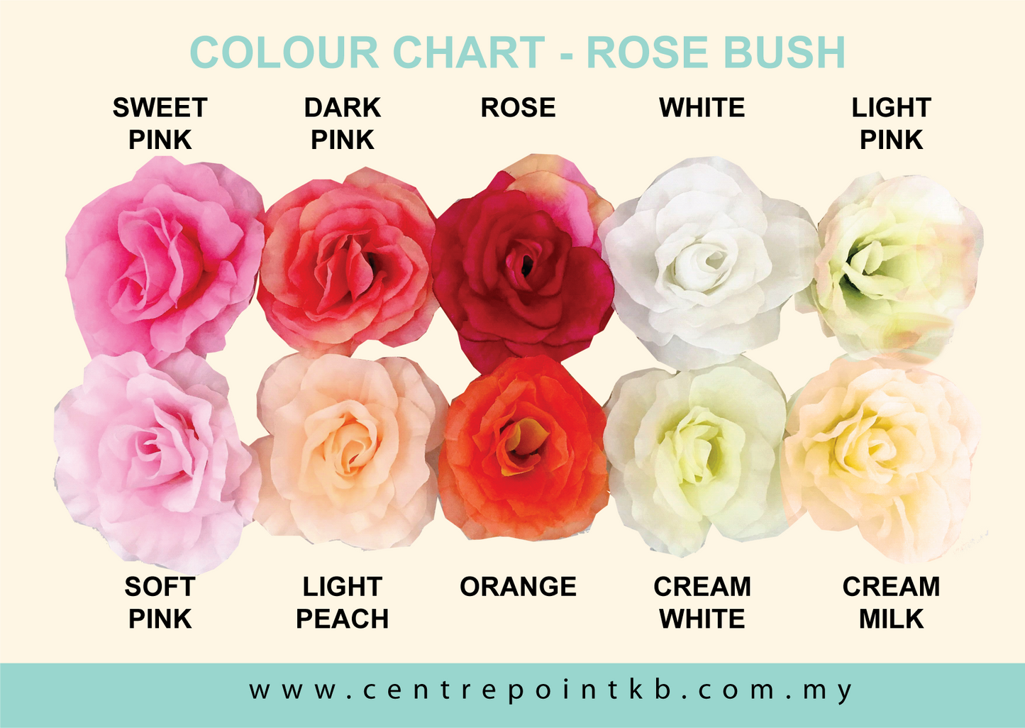 Rose Bush X5 (12pcs/Dozen)