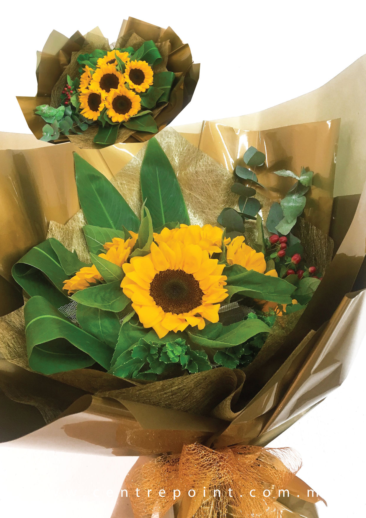 Future In Hand (RM 120.00)