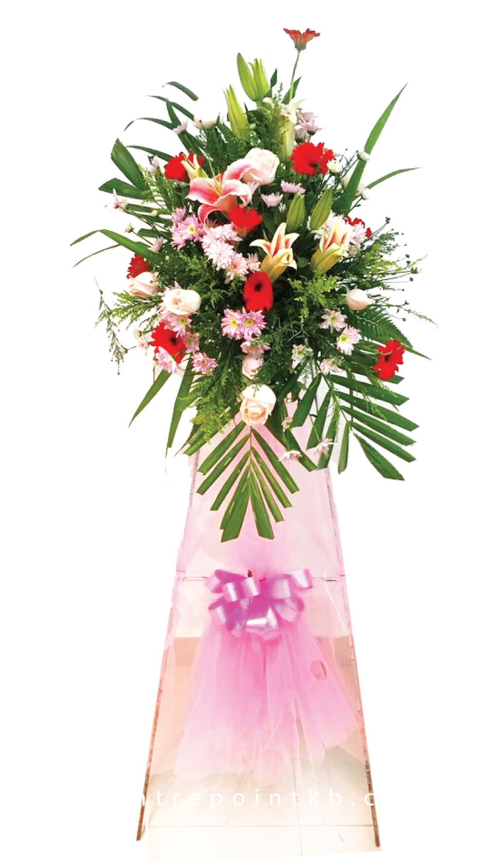 Opening Stand 080 (RM 150.00)