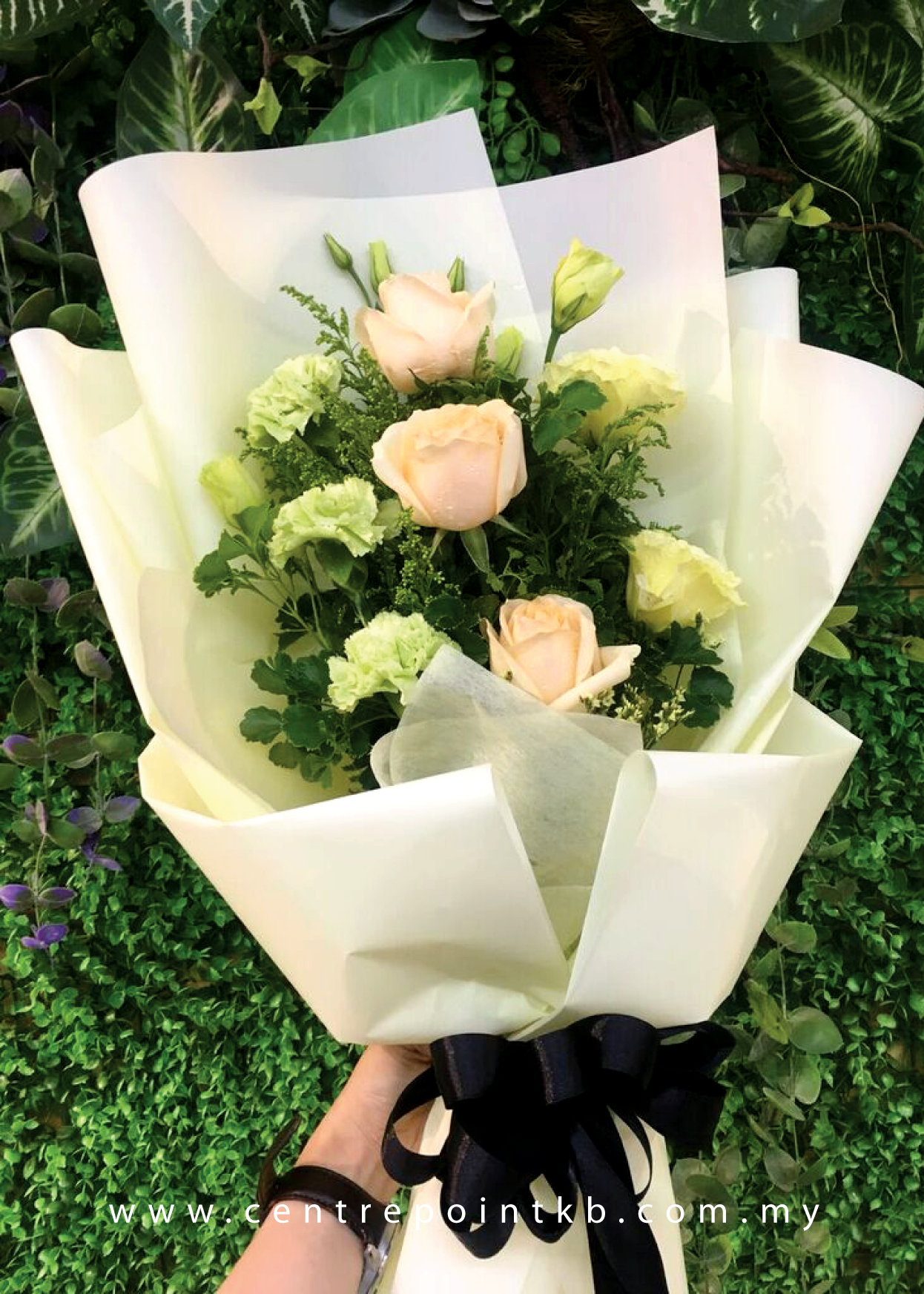 Lemon Tree (RM 78.00)