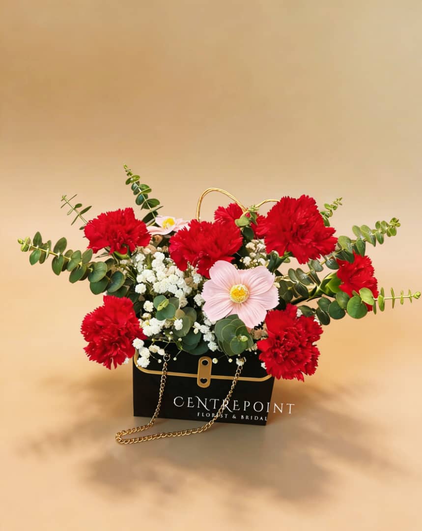 Clara (RM 110.00)