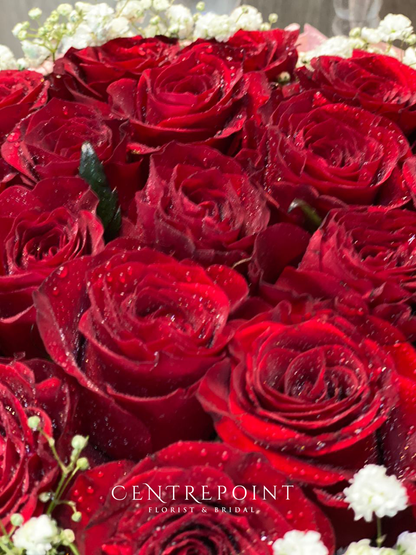 Red Velvet Roses (RM 250.00)