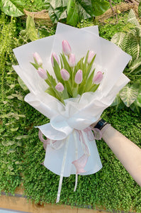 Vincy Tulips (RM 150.00)