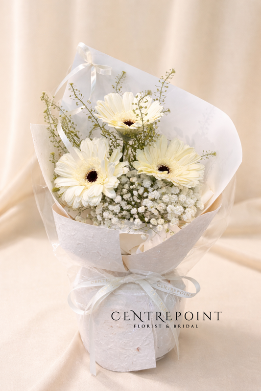 Baby Snow (RM 50.00)