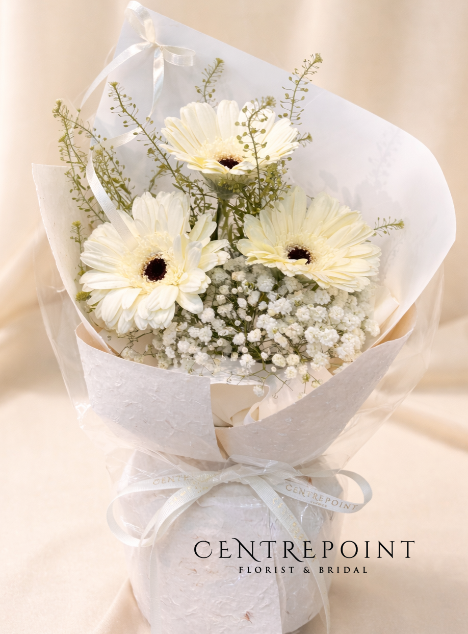 Baby Snow (RM 50.00)