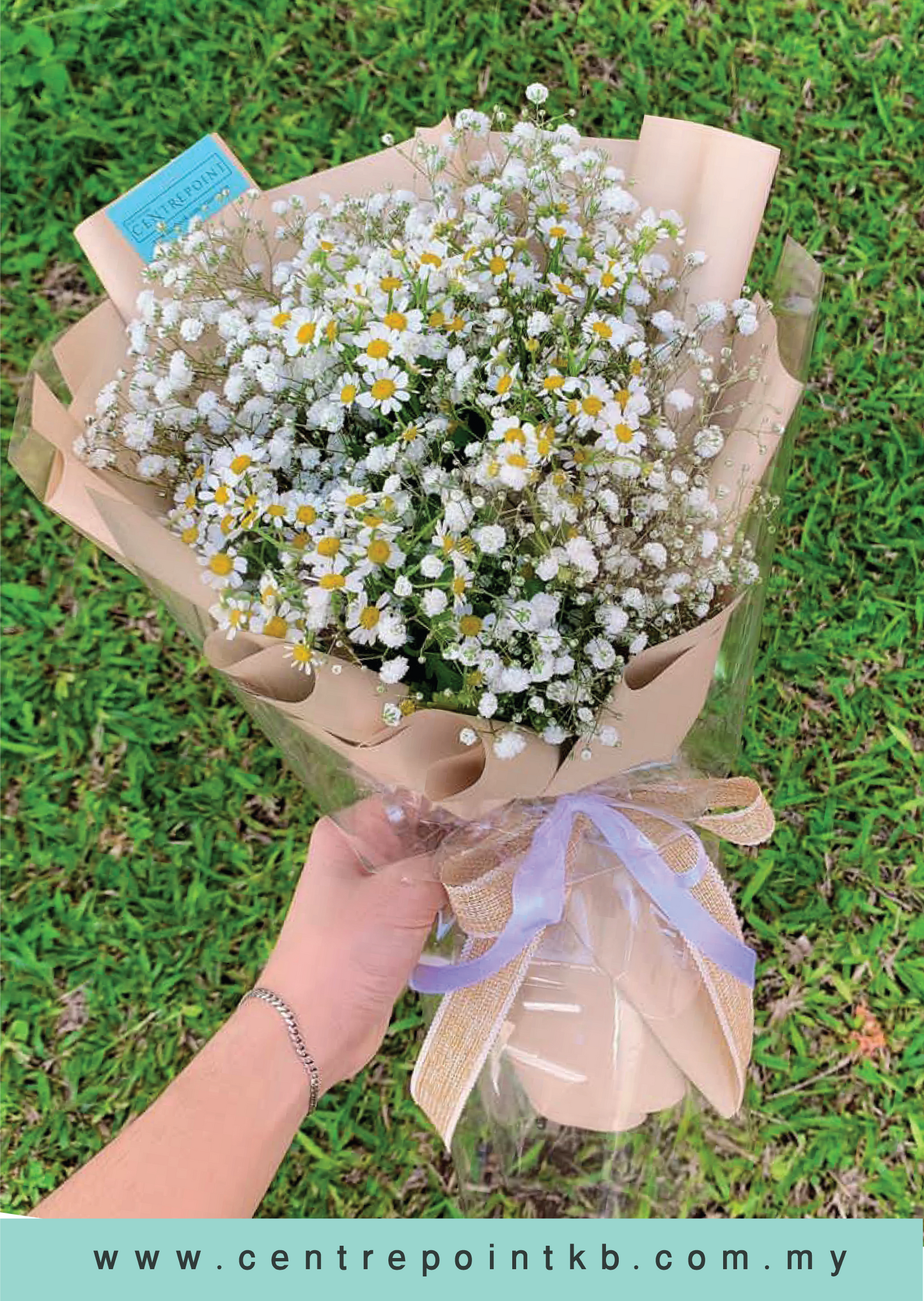 Petite Baby Chamomile (RM 80.00)