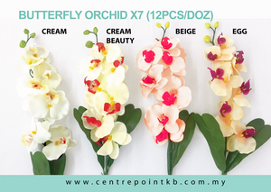 Butterfly Orchid X7 (12pcs/Dozen)