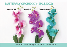 Butterfly Orchid X7 (12pcs/Dozen)