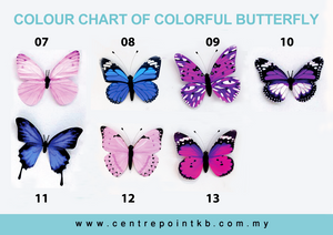 Colorful Butterfly (Pieces)