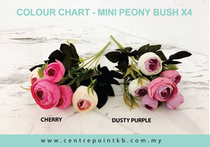 Mini Peony Bush x4 (Pieces / Dozen)