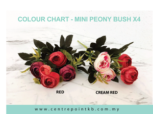Mini Peony Bush x4 (Pieces / Dozen)