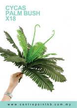 Cycas Palm Bush x18 (Pieces/Dozen)