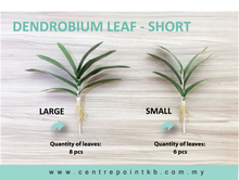 Dendrobium Leaf - Short  (Pieces)
