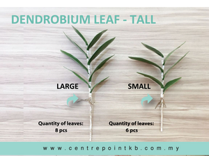 Dendrobium Leaf - Tall (Pieces/Dozen)