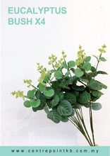 Eucalyptus Bush X4 (Pieces/Dozen)