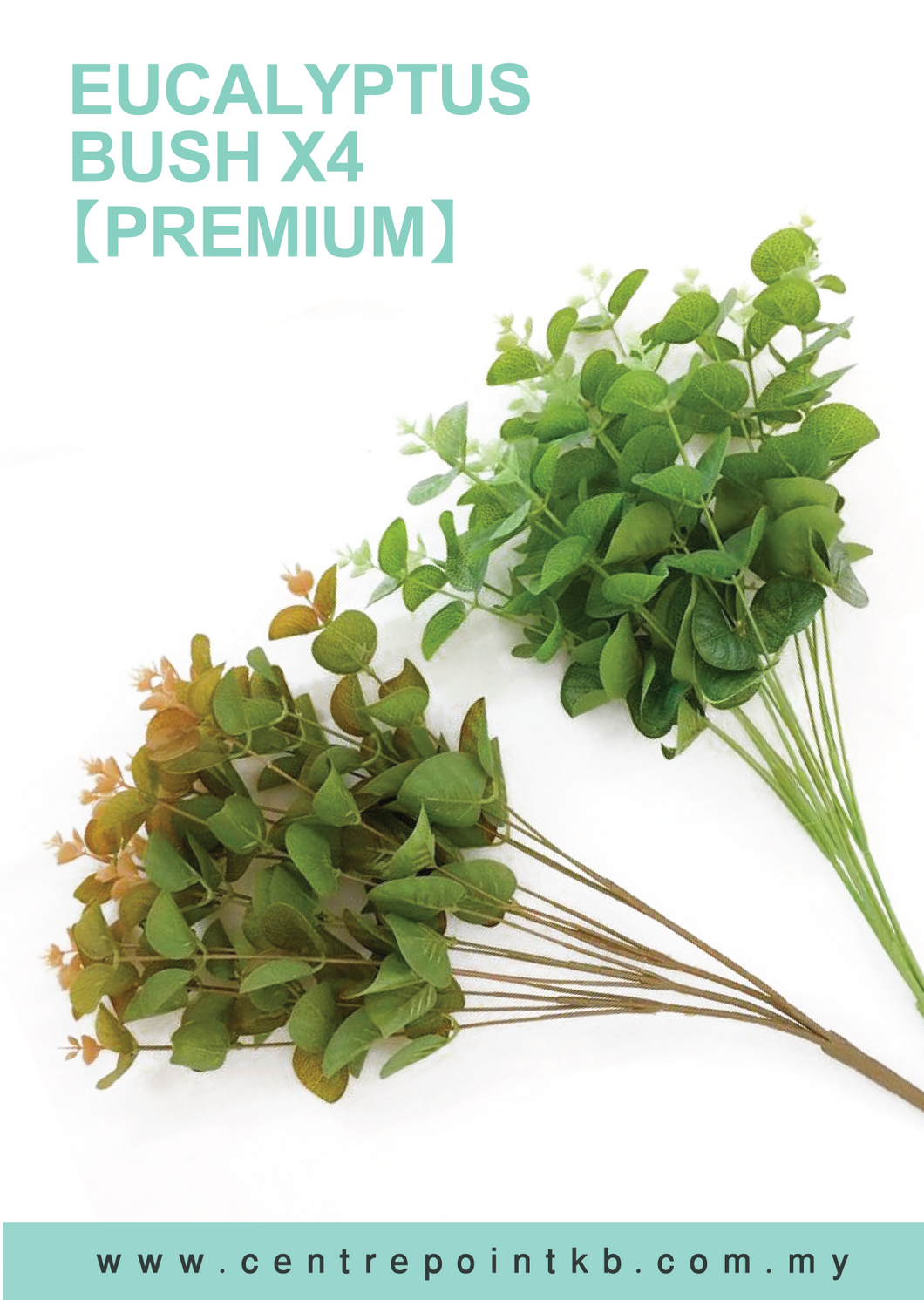 Eucalyptus Bush X4【Premium】 (Pieces/Dozen)