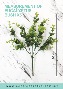Eucalyptus Bush X5 (Pieces/Dozen)