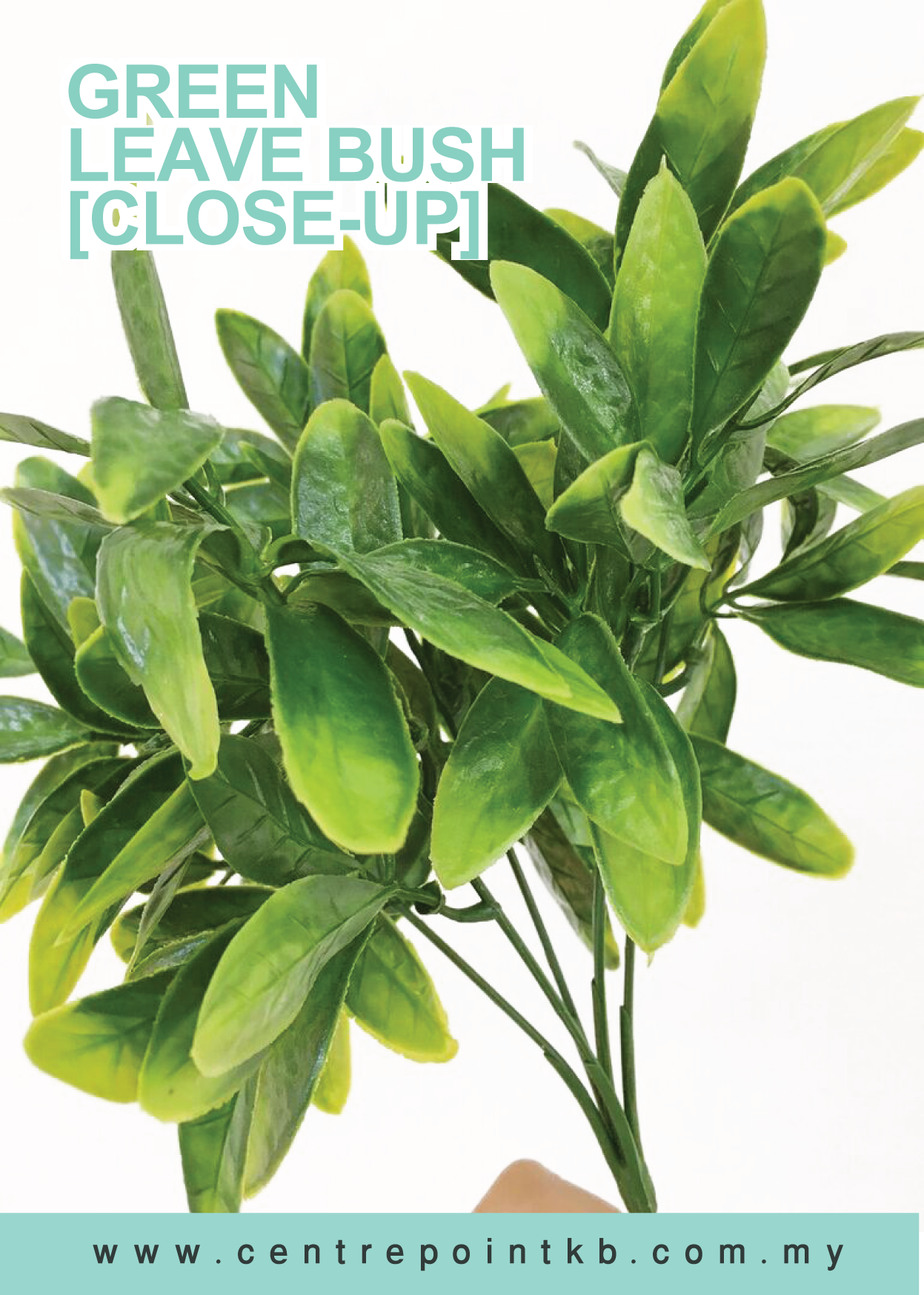 Green Leave Bush (Pieces/Dozen)