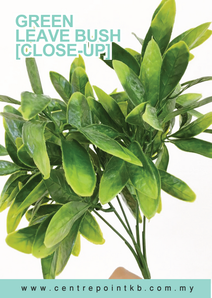 Green Leave Bush (Pieces/Dozen)