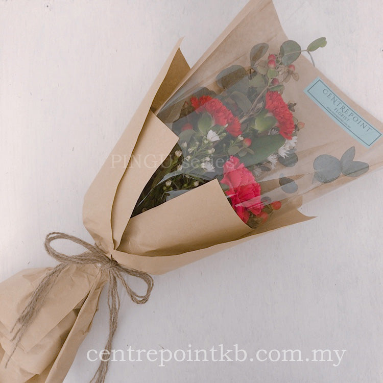 Carnation Of Care (RM 48.00)