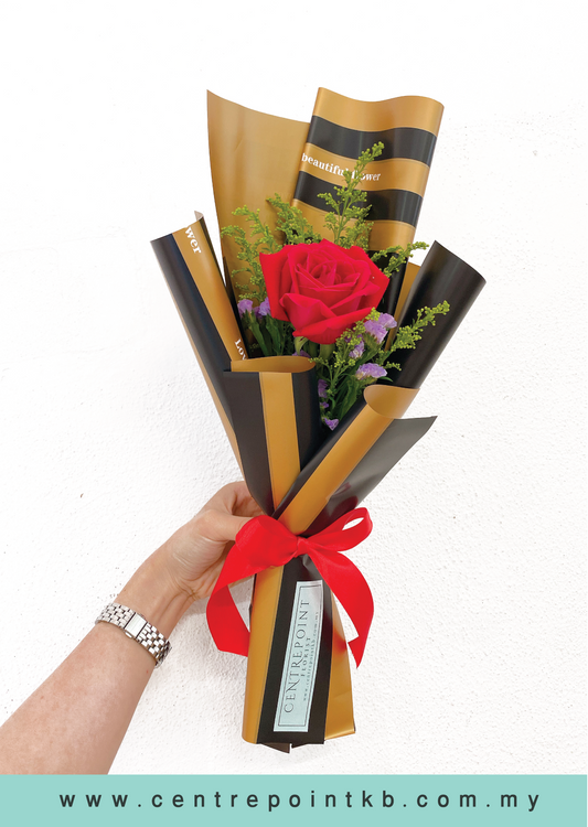 Lucy (RM 15.00)