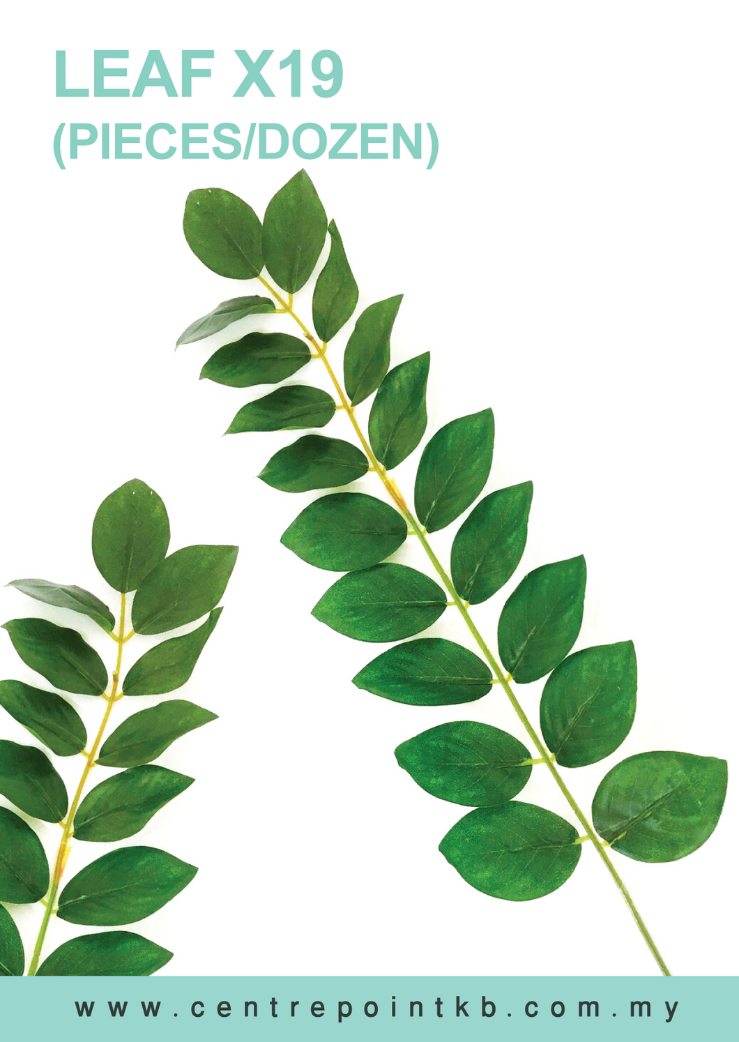 Leaf x19 (Pieces/Dozen)