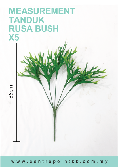 Tanduk Rusa Bush X5 (Pieces/Dozen)
