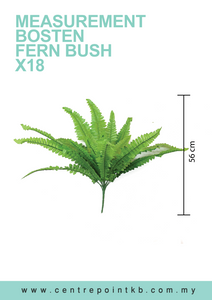 Bosten Fern Bush x18 (Pieces/Dozen)
