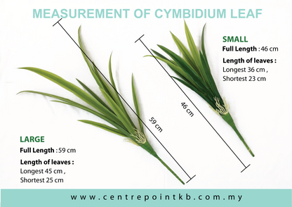 Cymbidium Leaf (Pieces/Dozen)