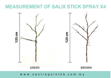Salix Stick Spray X4 (Pieces/Dozen)